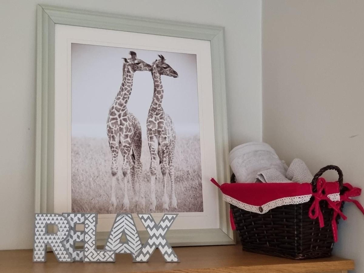 Brooks Homestay Dundalk Exteriér fotografie